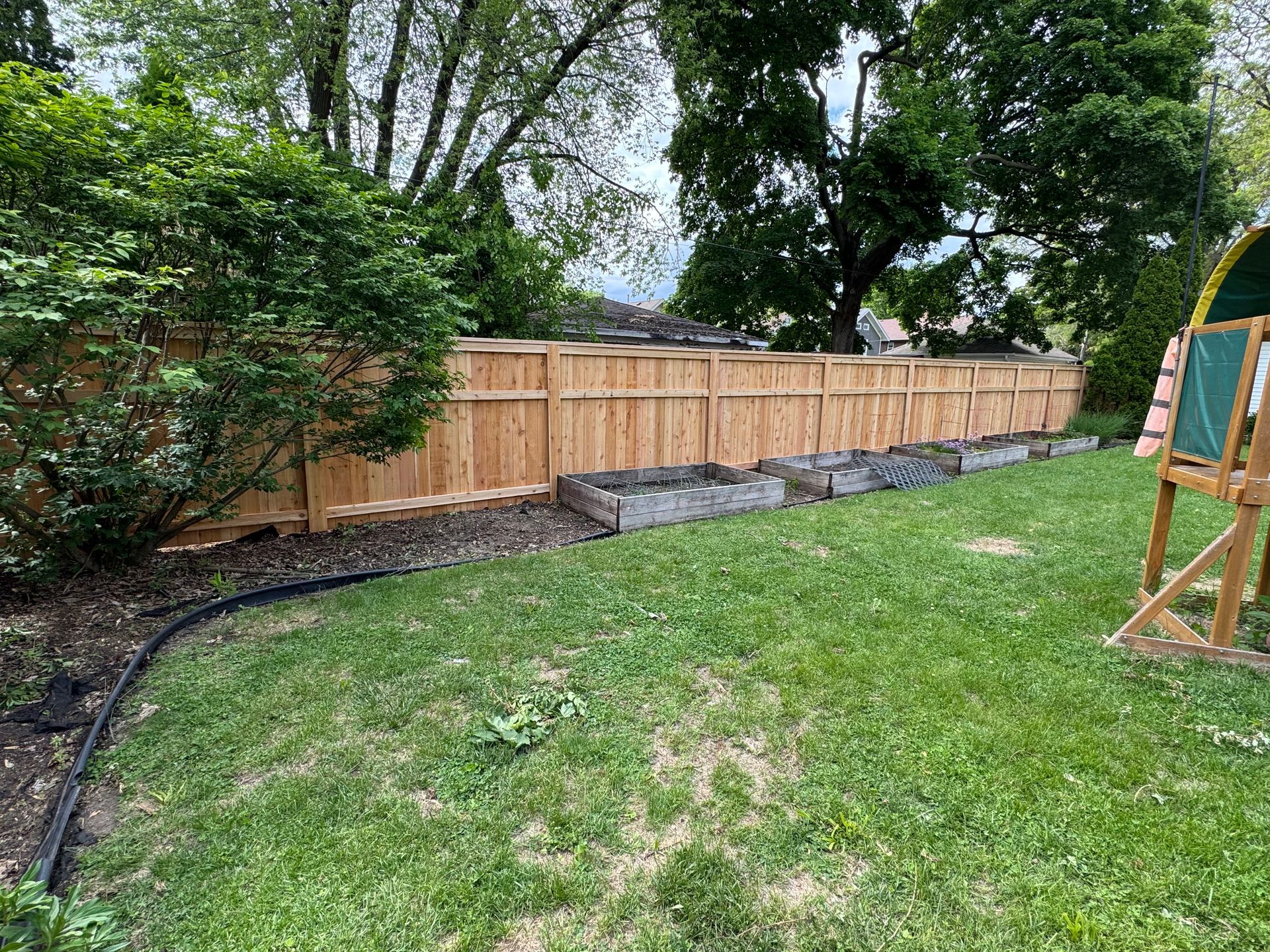 Wooden fence borders a backyard with green grass and garden beds.