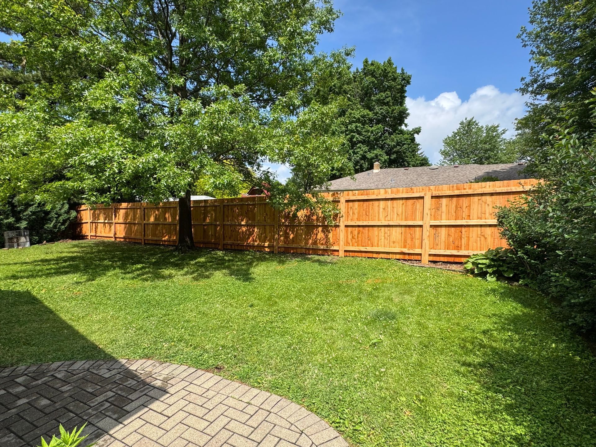 Lush green backyard with a wooden fence under a blue sky, partially shaded by a large tree.