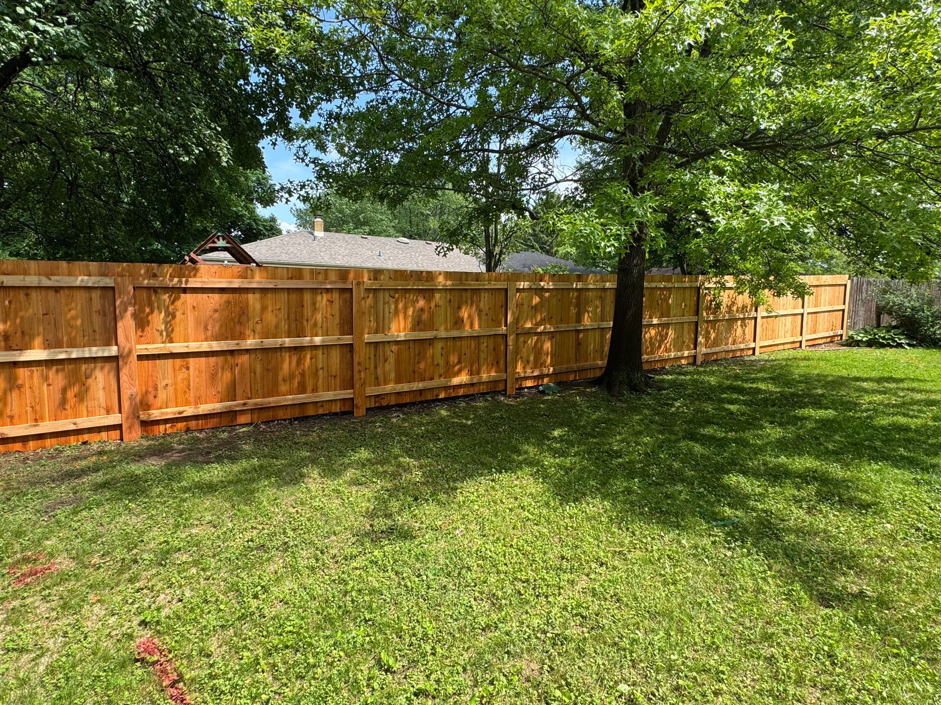 Wooden fence surrounding a grassy yard with a large tree.