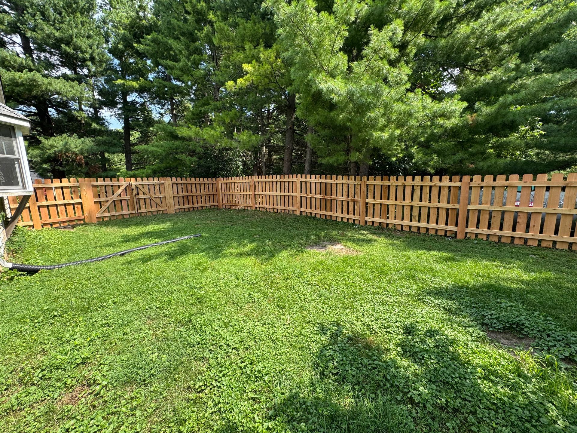 Wooden picket fence enclosing a grassy backyard, trees in the background, sunny day.