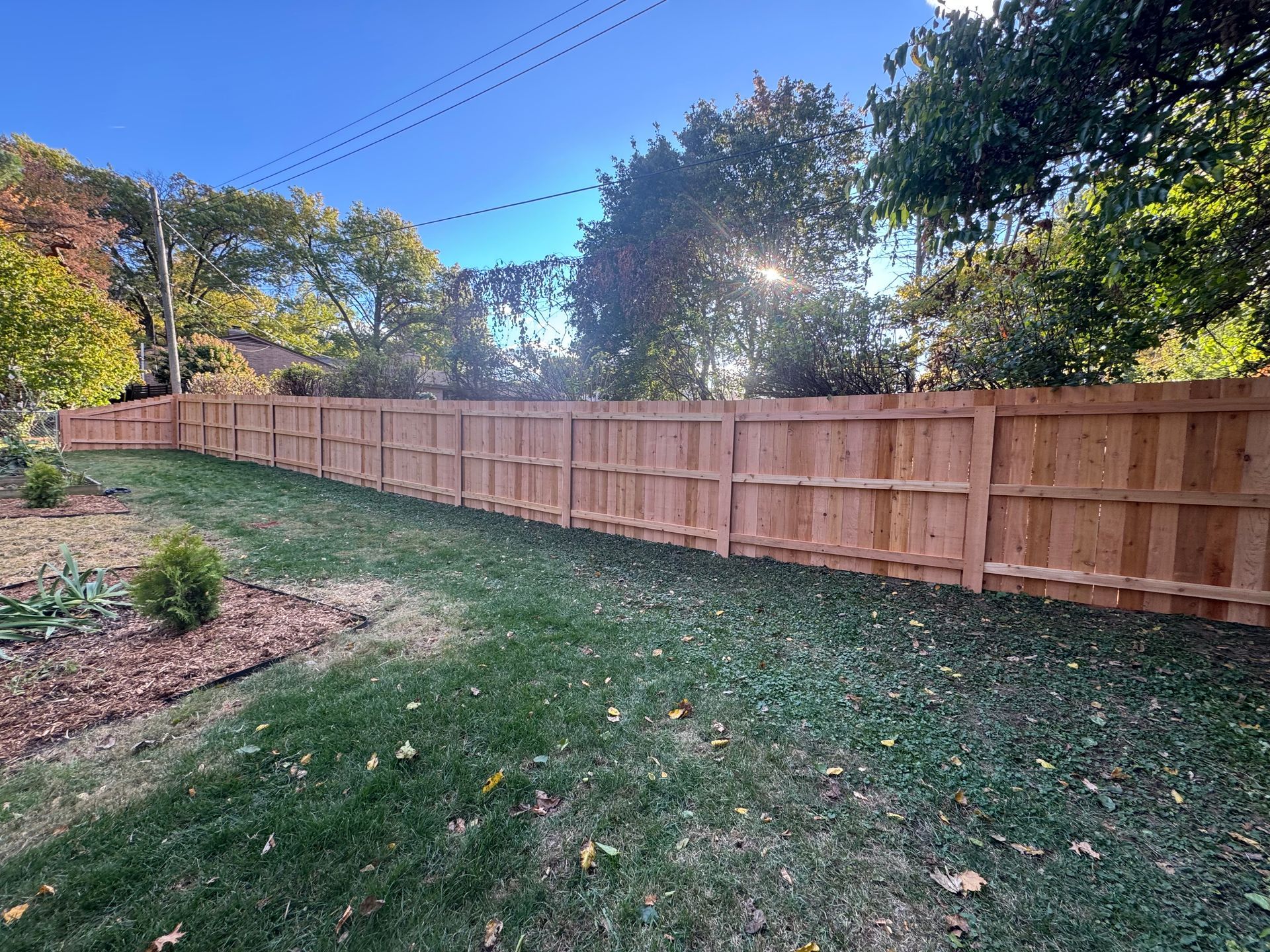 Wooden privacy fence along a grassy backyard, sunlight, and trees.