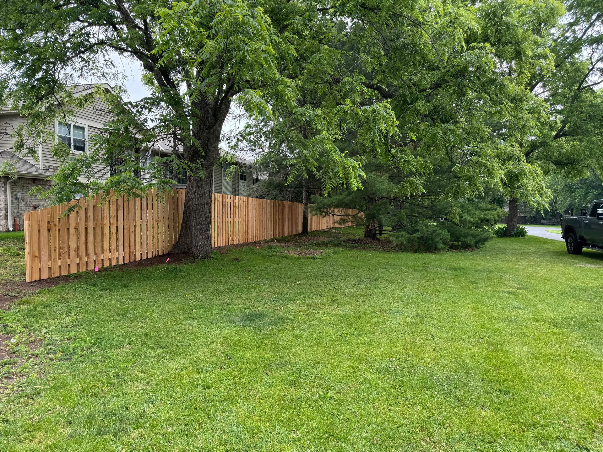Wooden fence lines a grassy yard, beside a large tree.