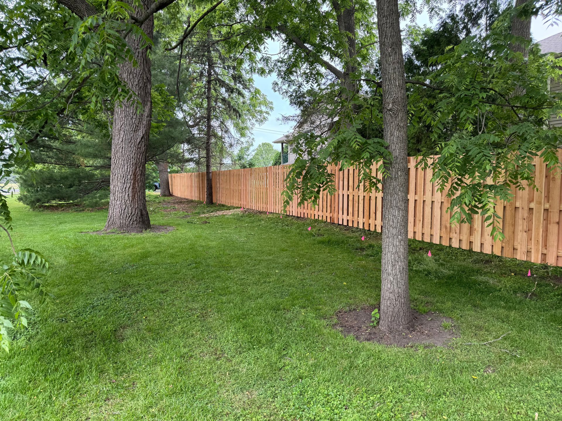 Wooden fence lines a grassy yard, trees in foreground.