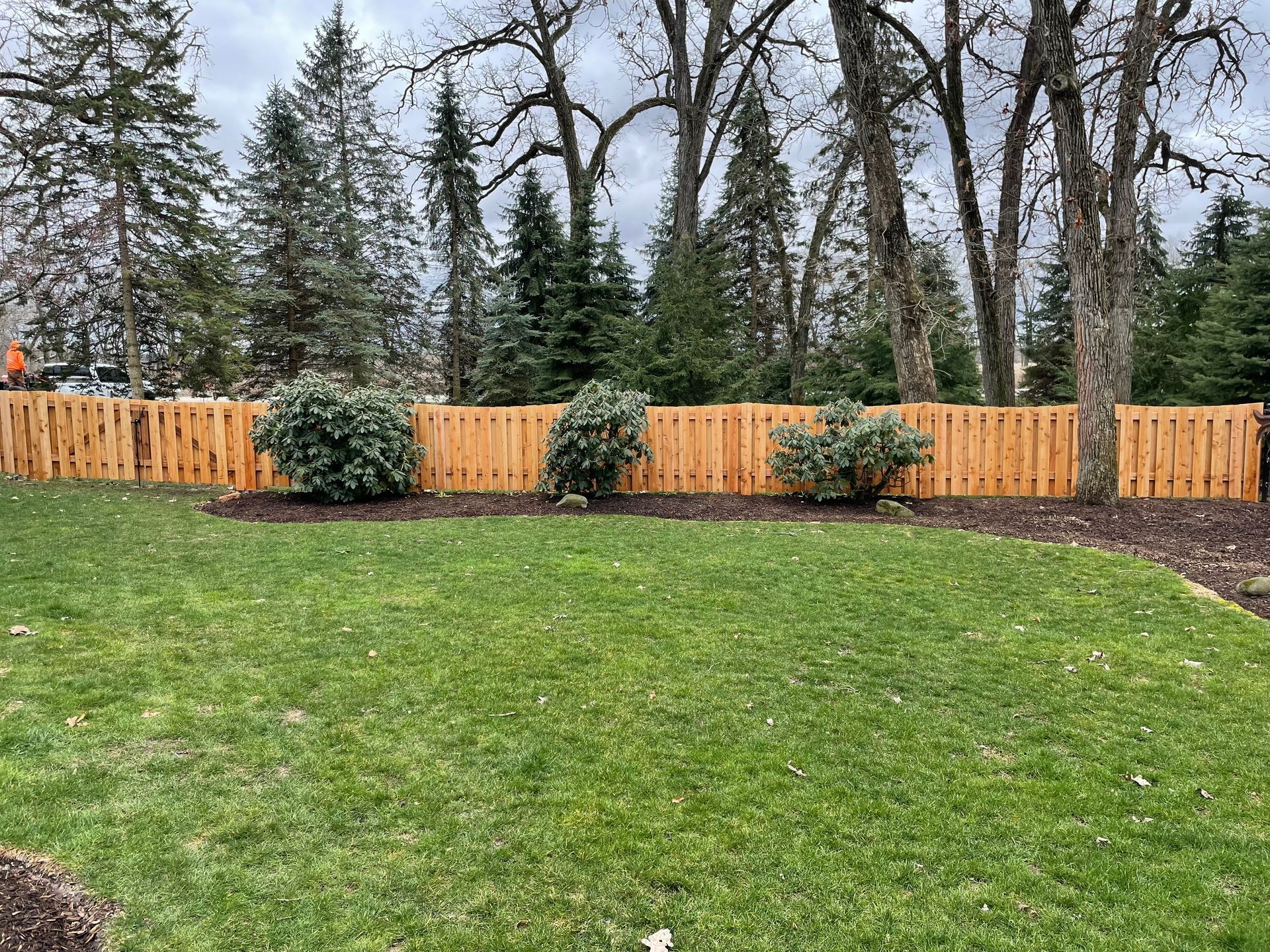 Lawn in front of a wood fence, with bushes in front of the fence and trees behind.