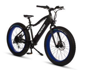 A black e bike with blue tires is on a white background.