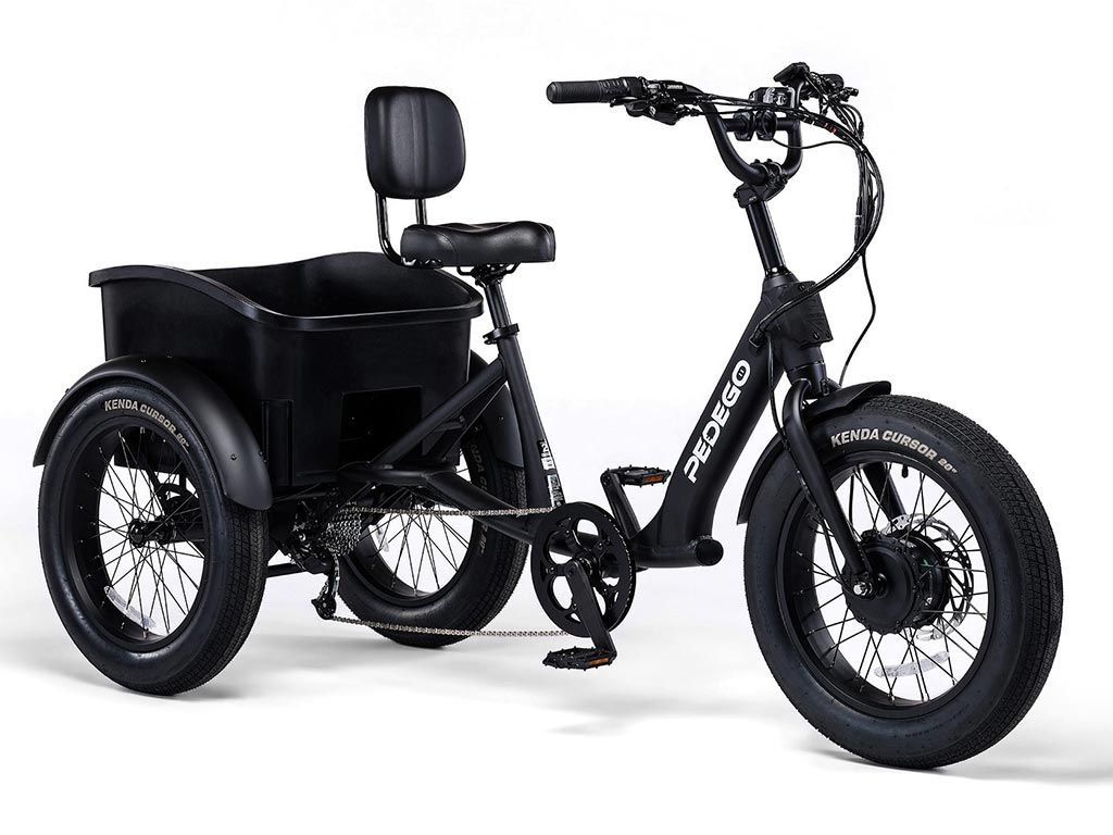 A black electric tricycle with a sidecar on a white background.