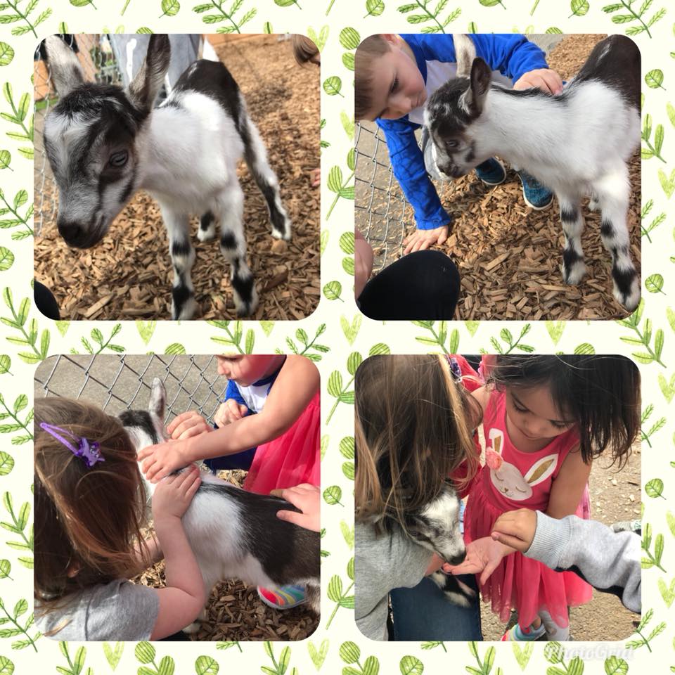 Children learning development