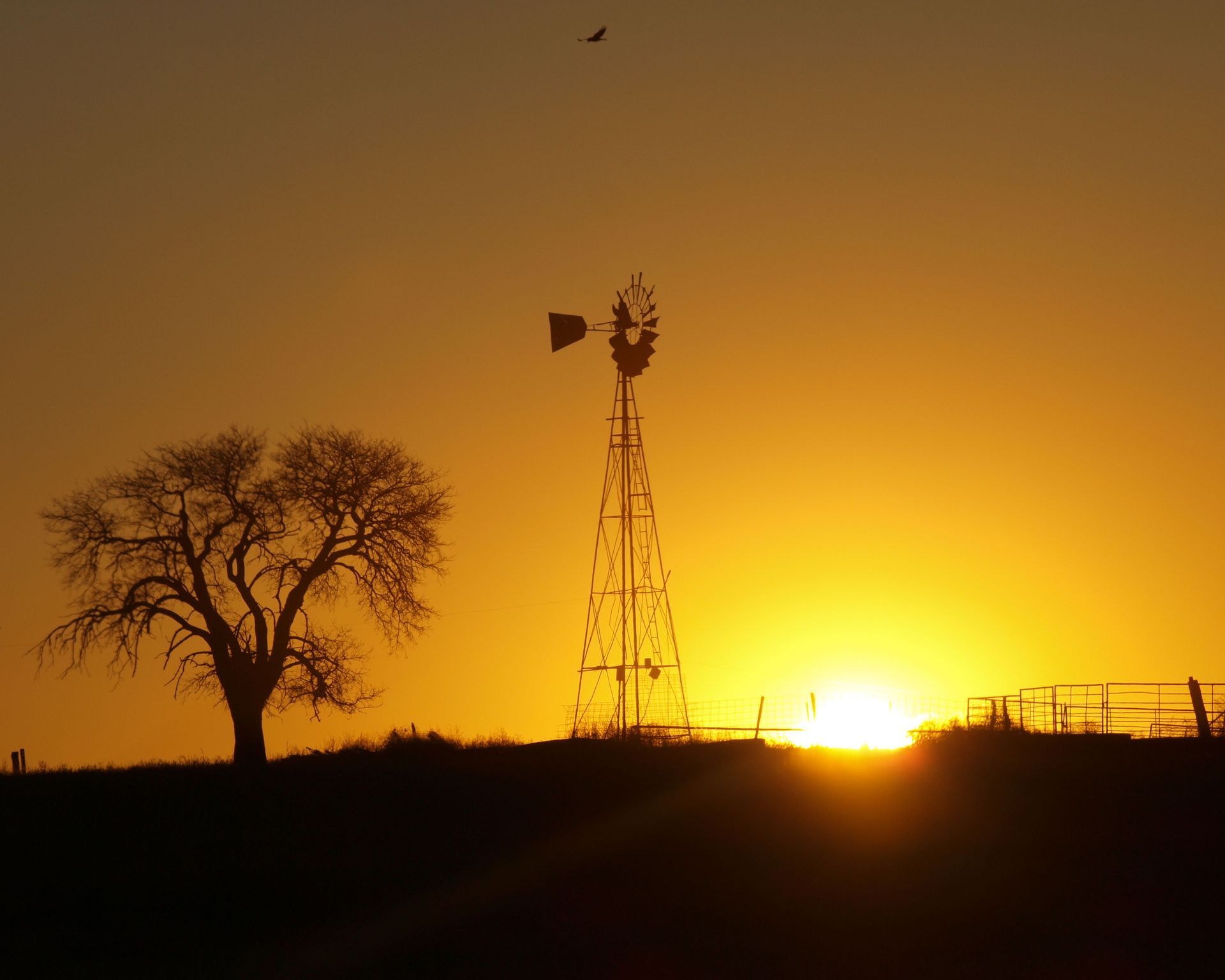 local aeration windmill installations