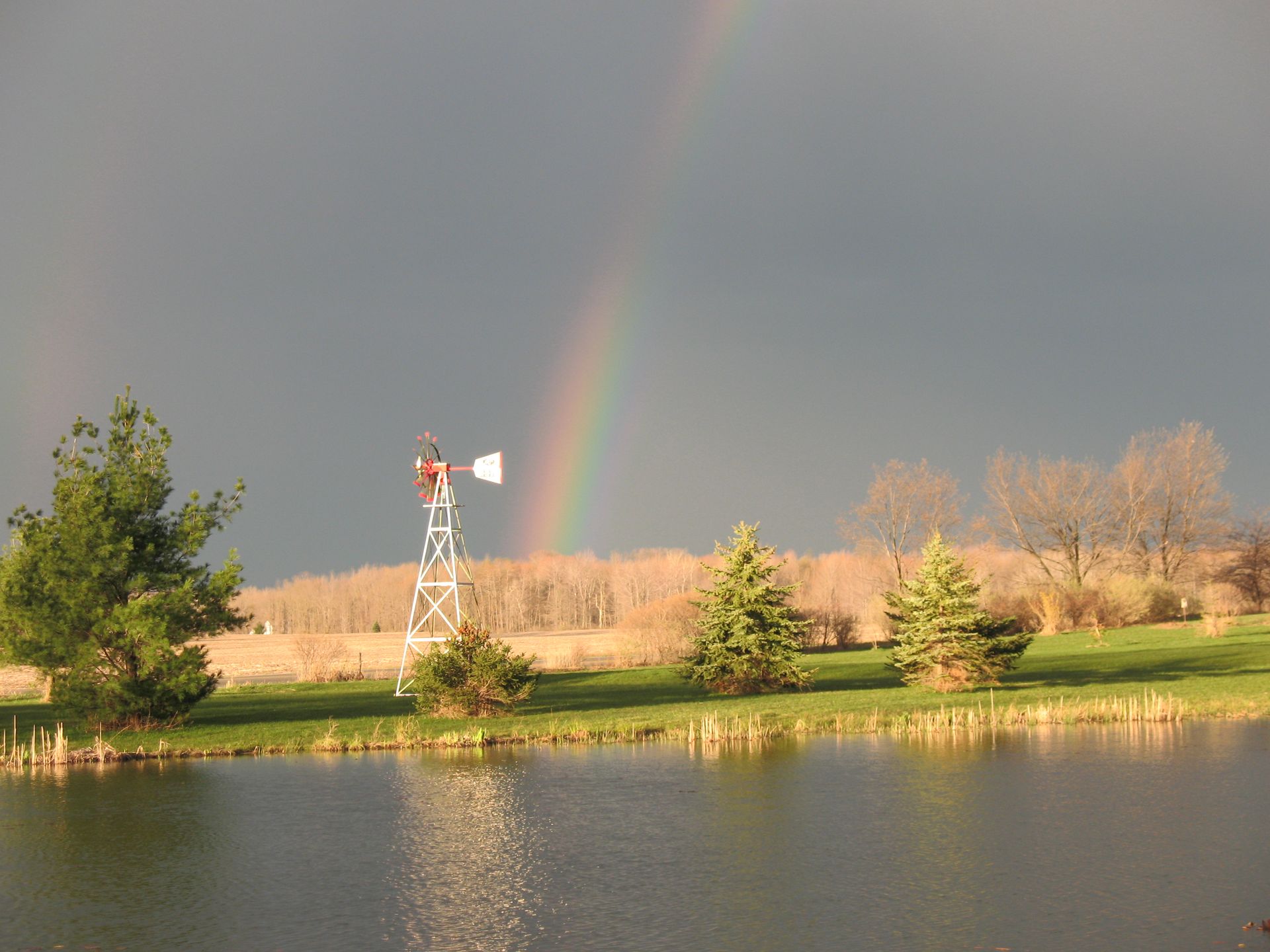 Rainbow arcs over a rural landscape with a pond, windmill, and evergreen trees.