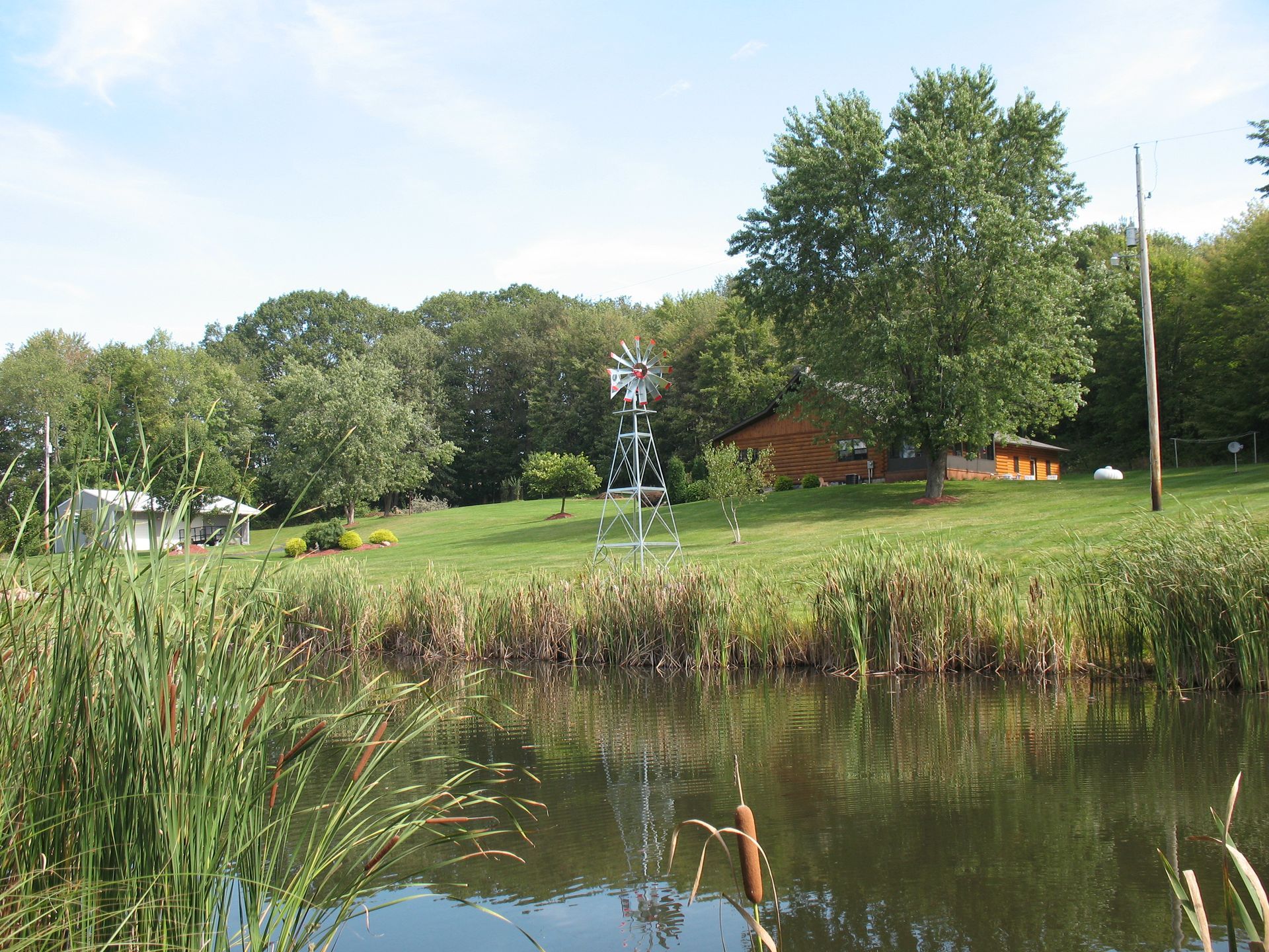 Lush green landscape with a pond, tall grass, and trees. A windmill, wooden cabin, and other buildings are visible.