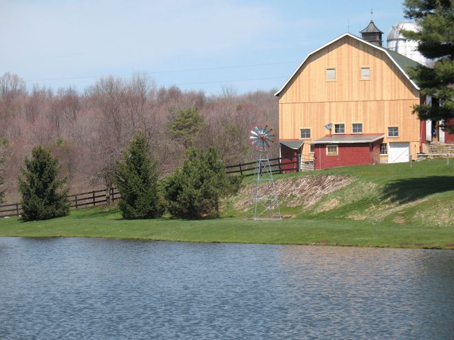 Yellow barn and red shed beside a pond and trees.