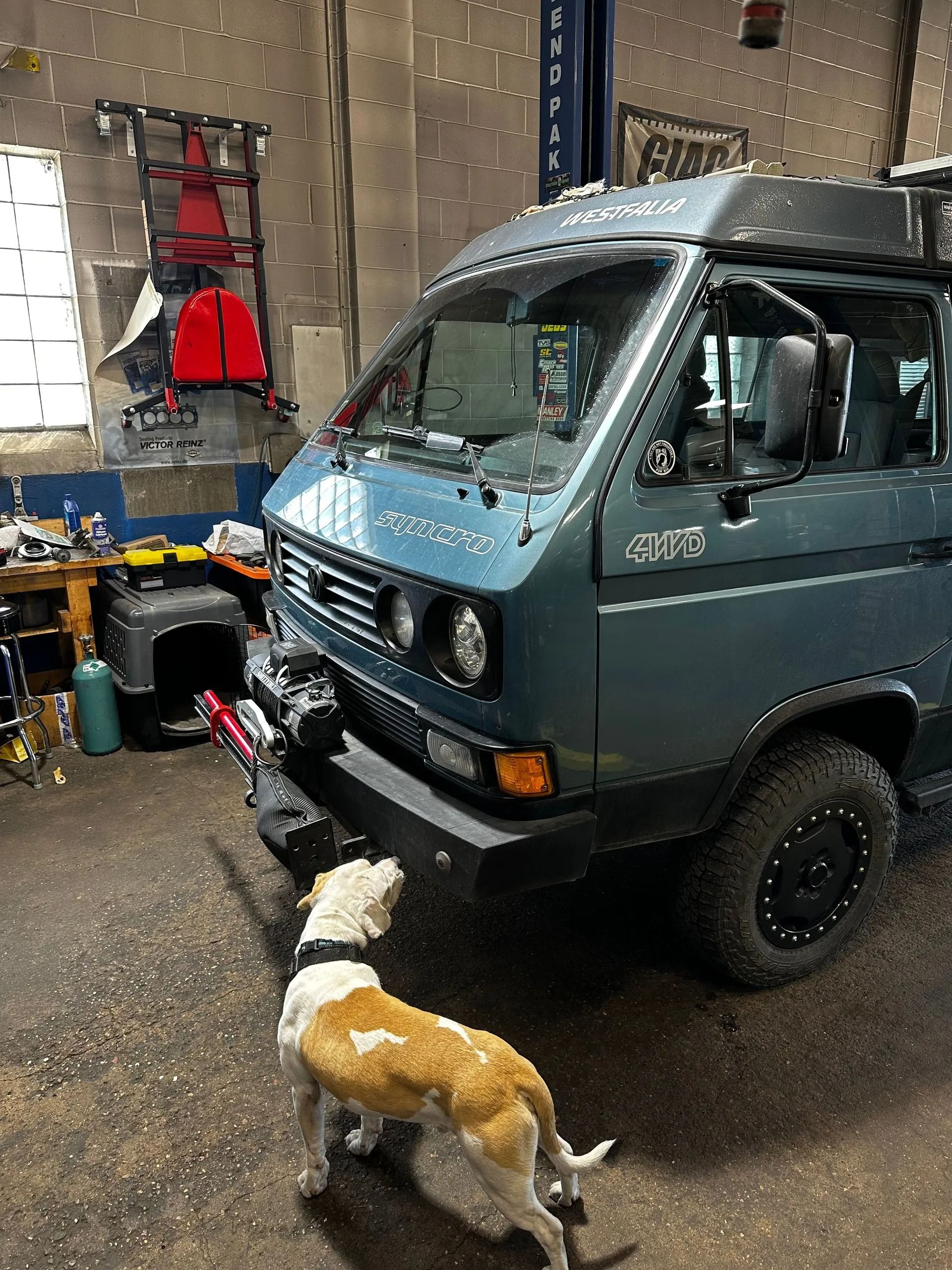Blue Volkswagen van in a garage with a dog looking up at it.