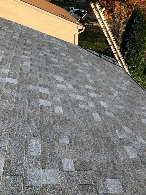 Gray asphalt shingle roof, with ladder leaning against the edge, in a residential setting.