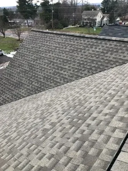Gray asphalt shingle roof on a building, seen from an elevated angle, on a cloudy day.