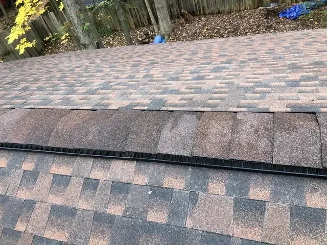 Close-up view of a shingled roof with a dark line of vent material at the edge.