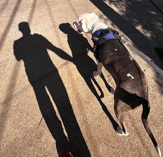 A shadow of a person and a dog on the ground