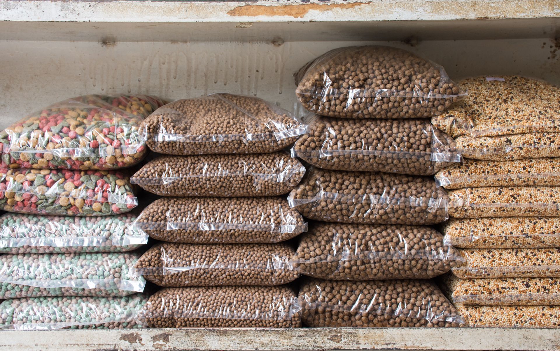 How Dog Food Delivery Works and Its Perks