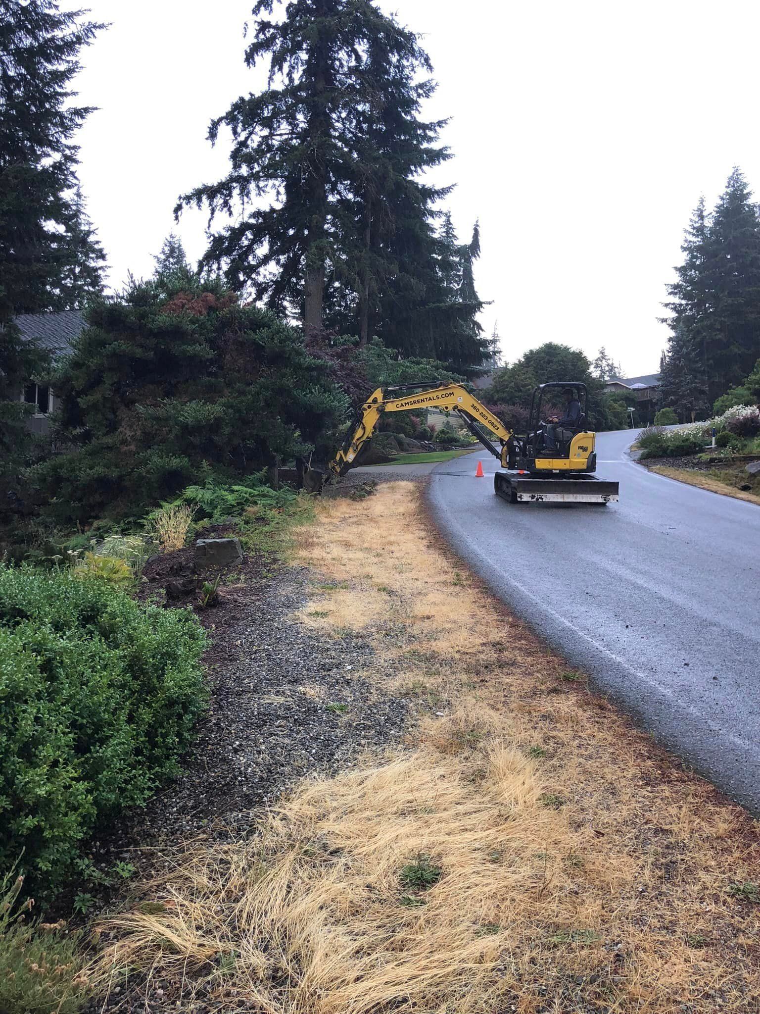 Yellow excavator on a wet road next to foliage, trimming greenery near a driveway.