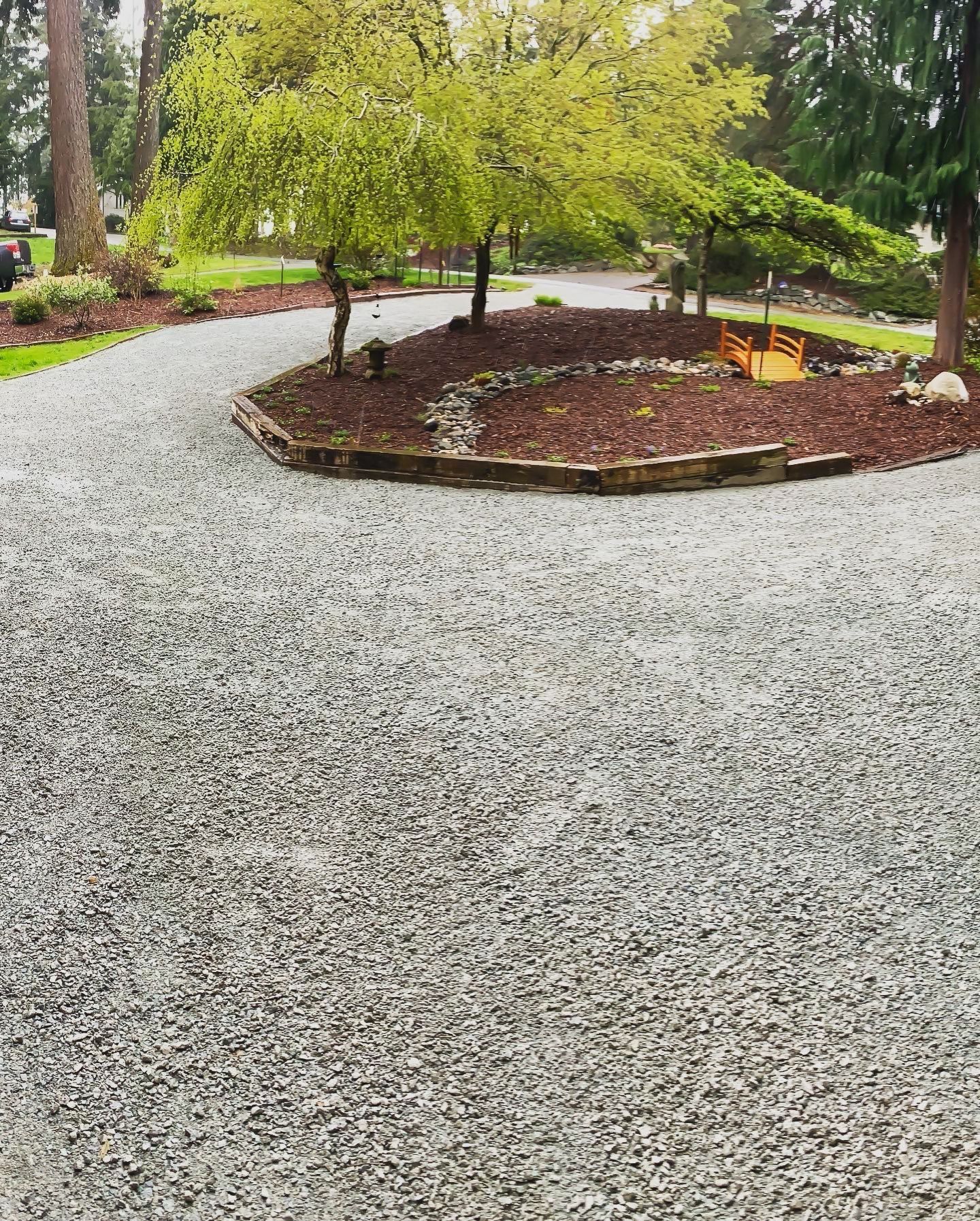 Gravel driveway curving towards small trees surrounded by wood chips and landscaping.