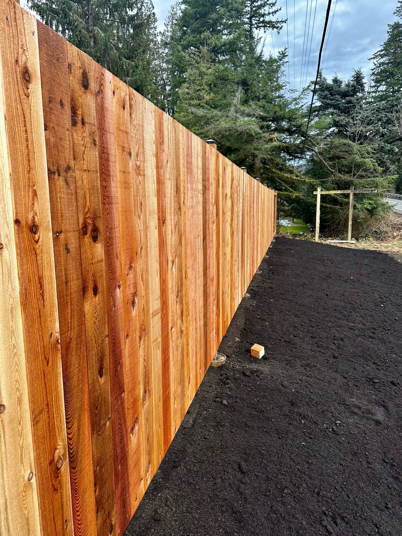 Wooden fence on a bed of dark mulch, trees in background, overcast sky.