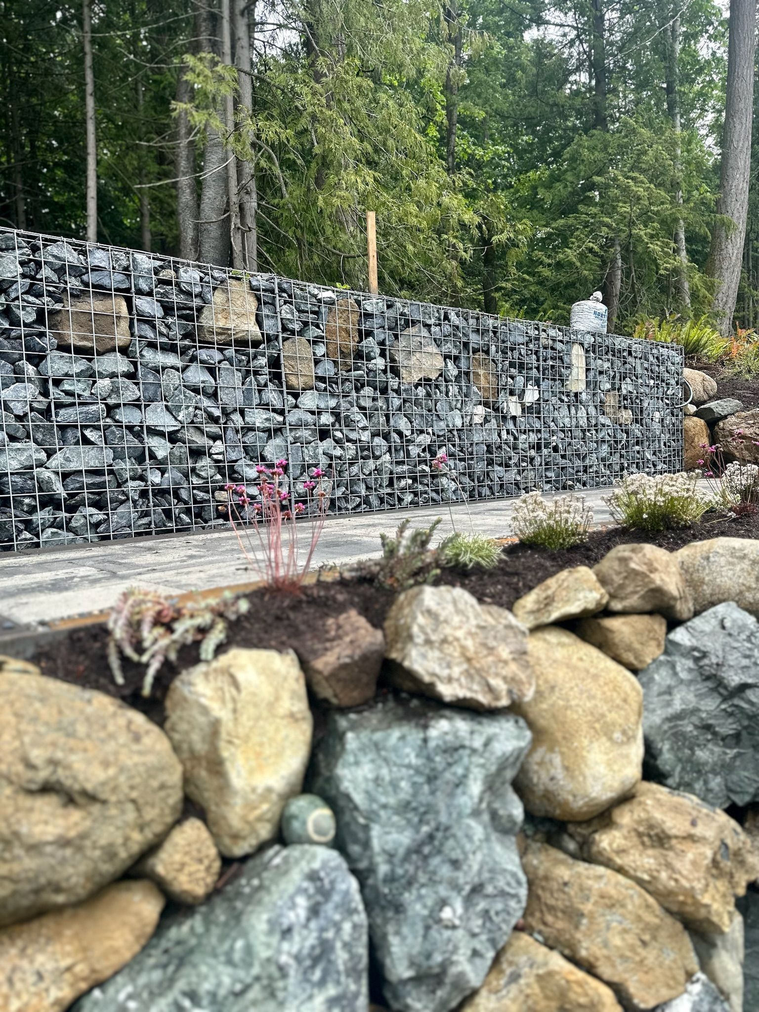 Stone retaining wall with a gabion wall backdrop, with trees in the background.