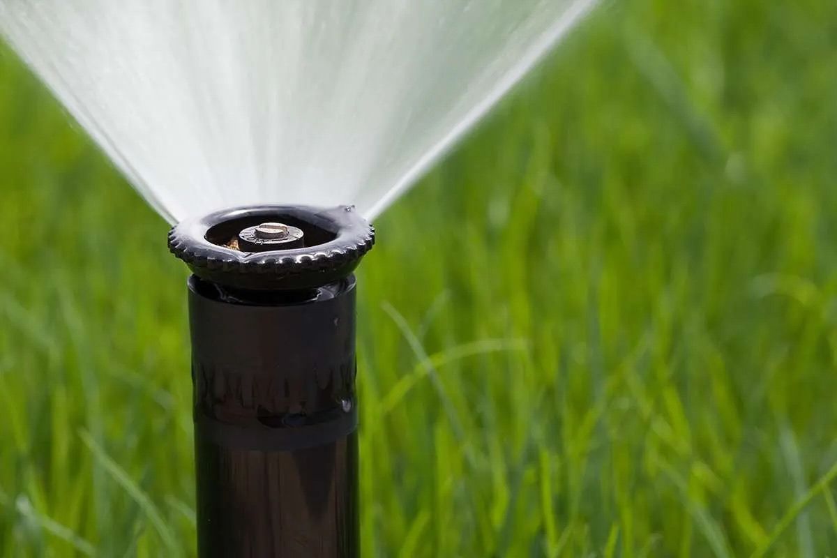 Sprinkler spraying water onto green grass