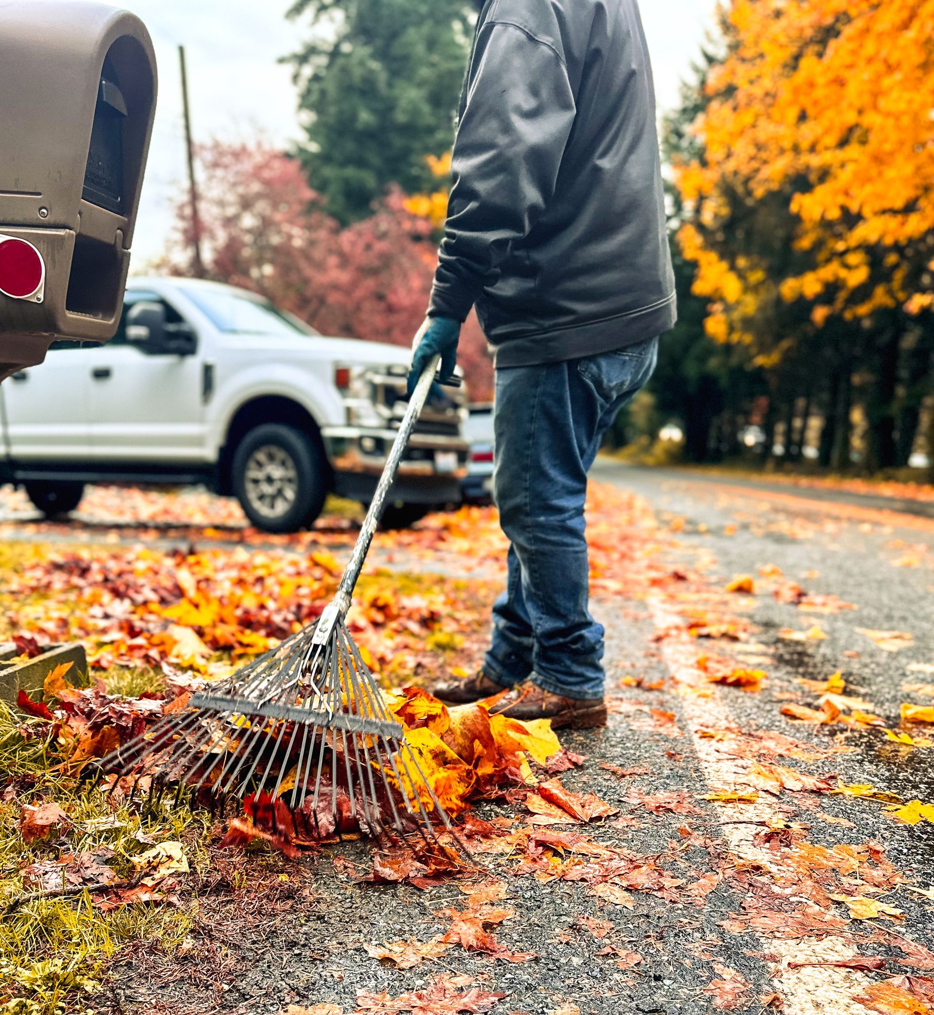 Person raking leaves on a road with a truck in the background