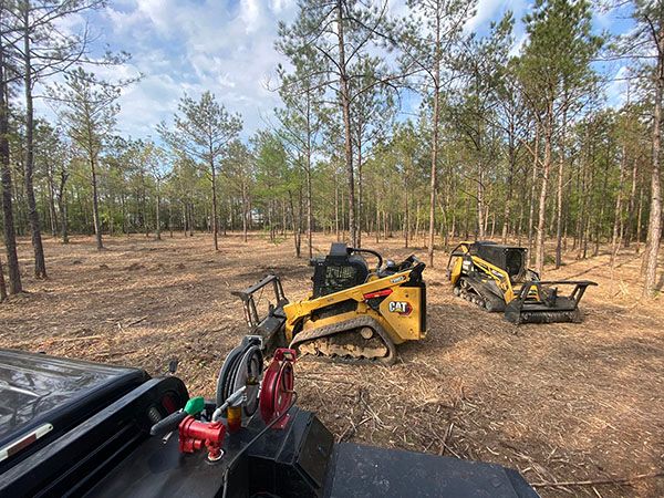 Land Clearing