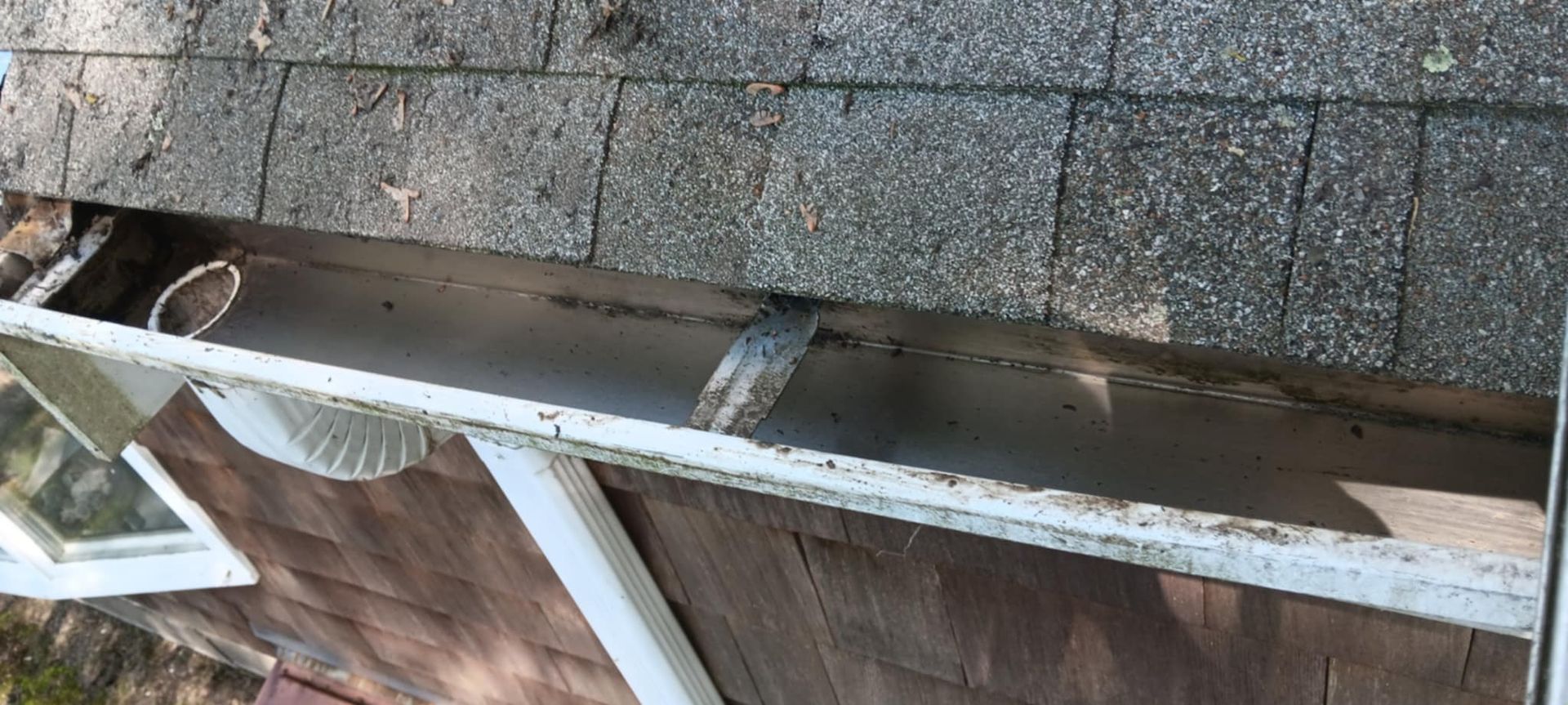 A bird is sitting in a gutter on the side of a house.