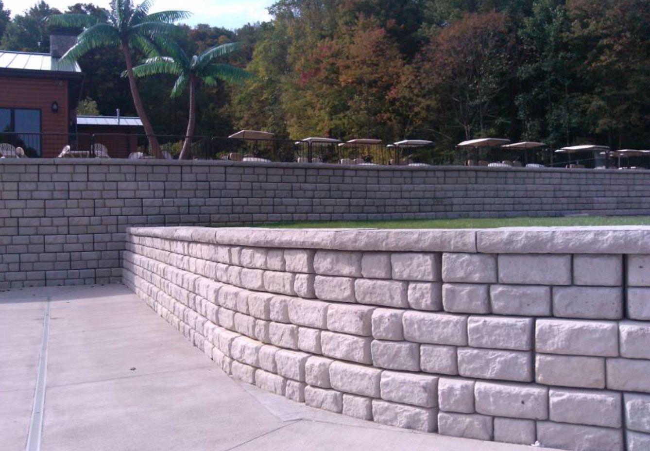 A brick wall with a palm tree in the background