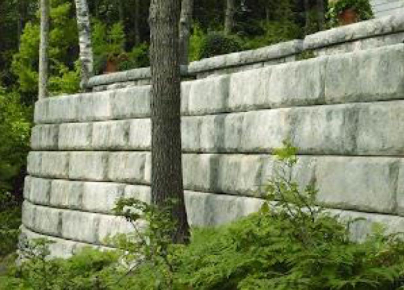 A large stone wall surrounded by trees and bushes in the middle of a forest