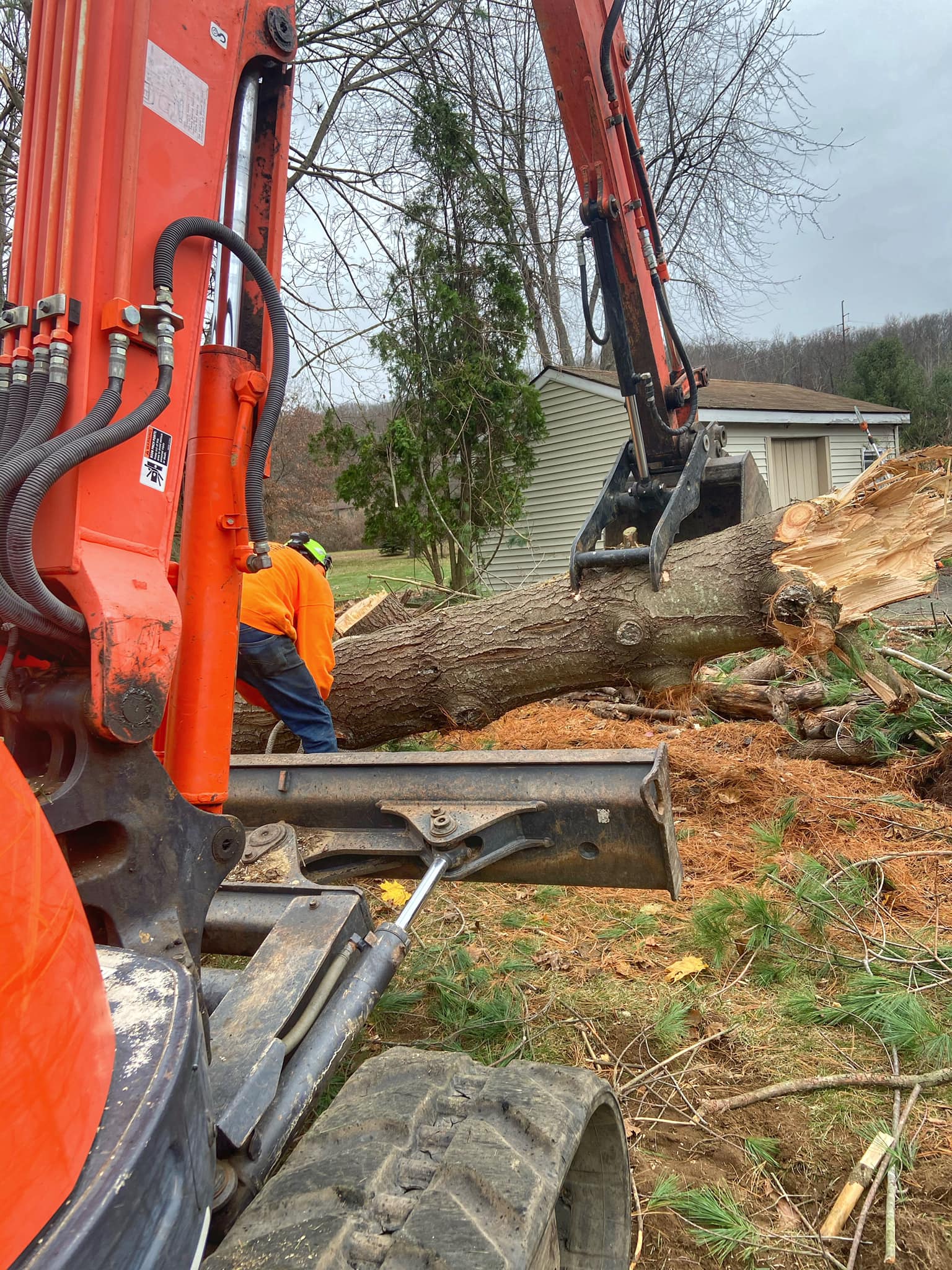 Chad's Tree Service | Tree Removal | New Milford, CT