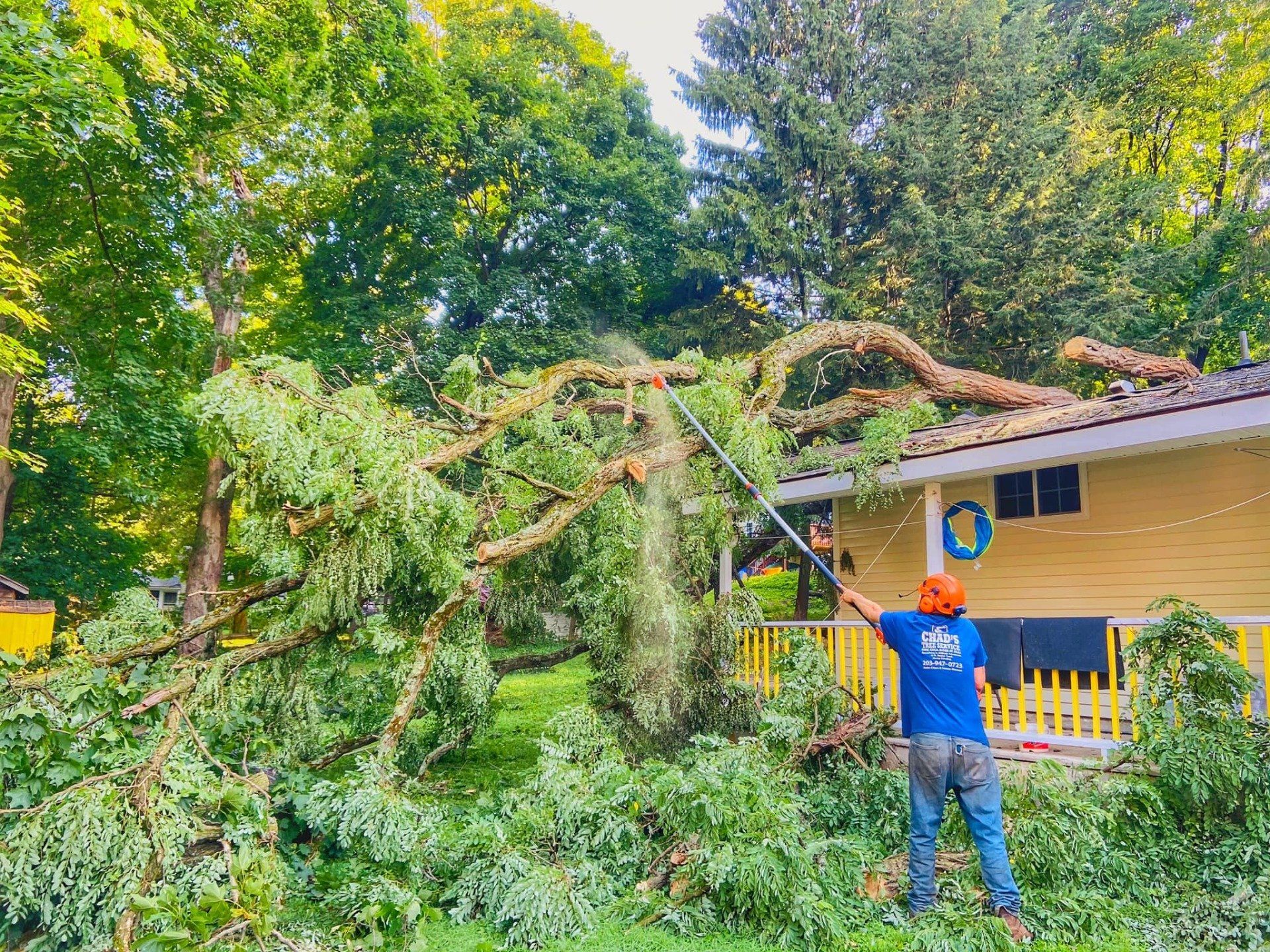 Storm damage cleanup