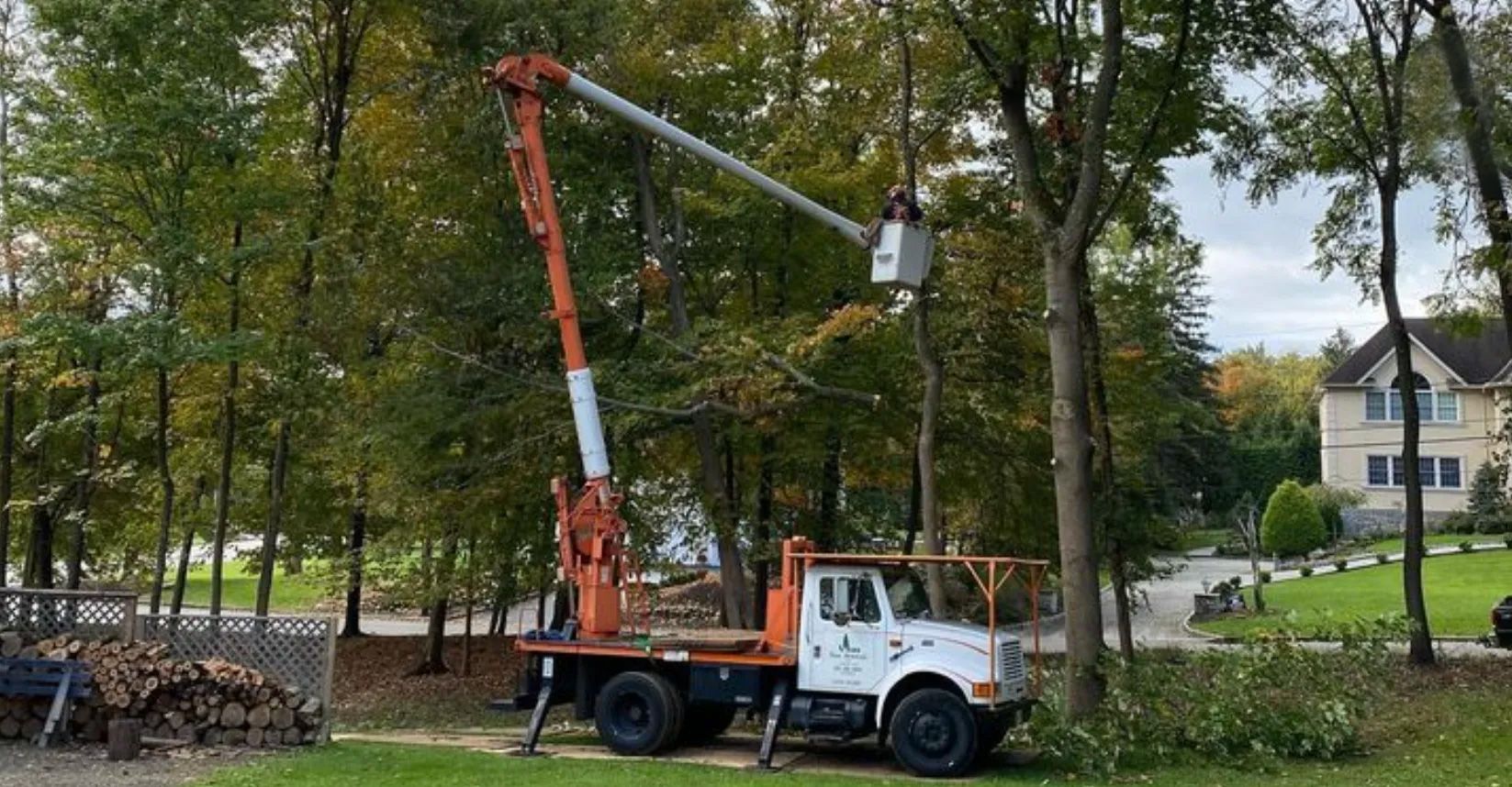 A worker in a bucket lift truck trims a tree in front of a house.