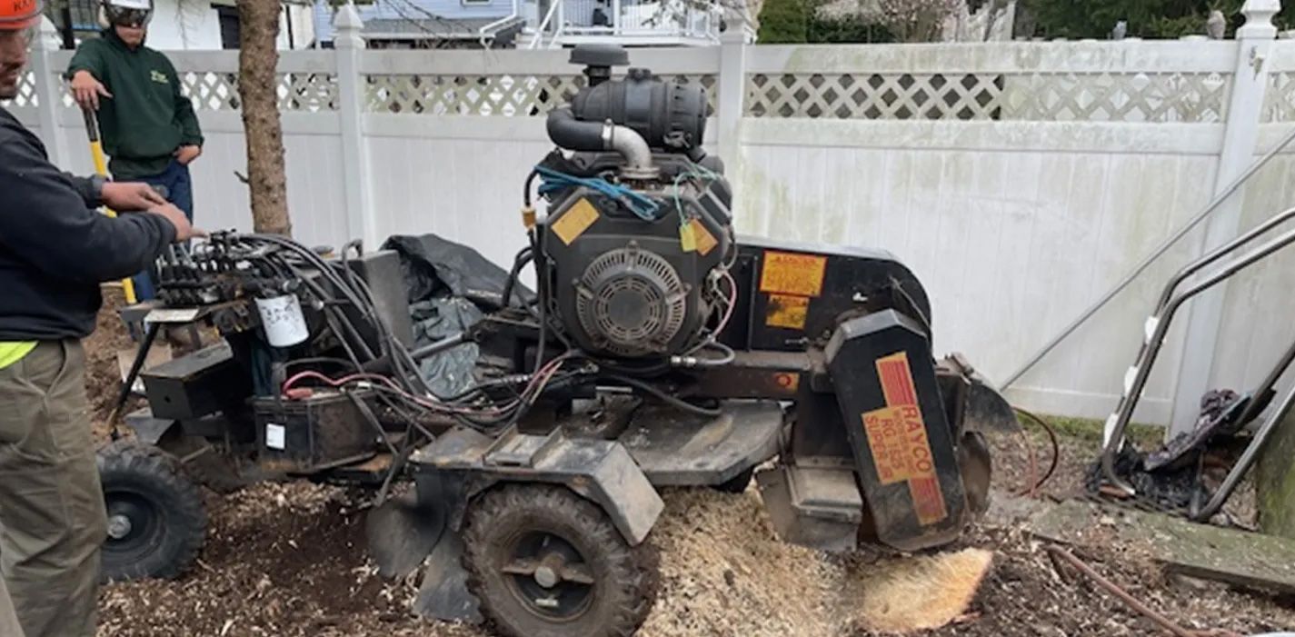 Two men operating a tree stump grinder. A white fence and trees are in the background.