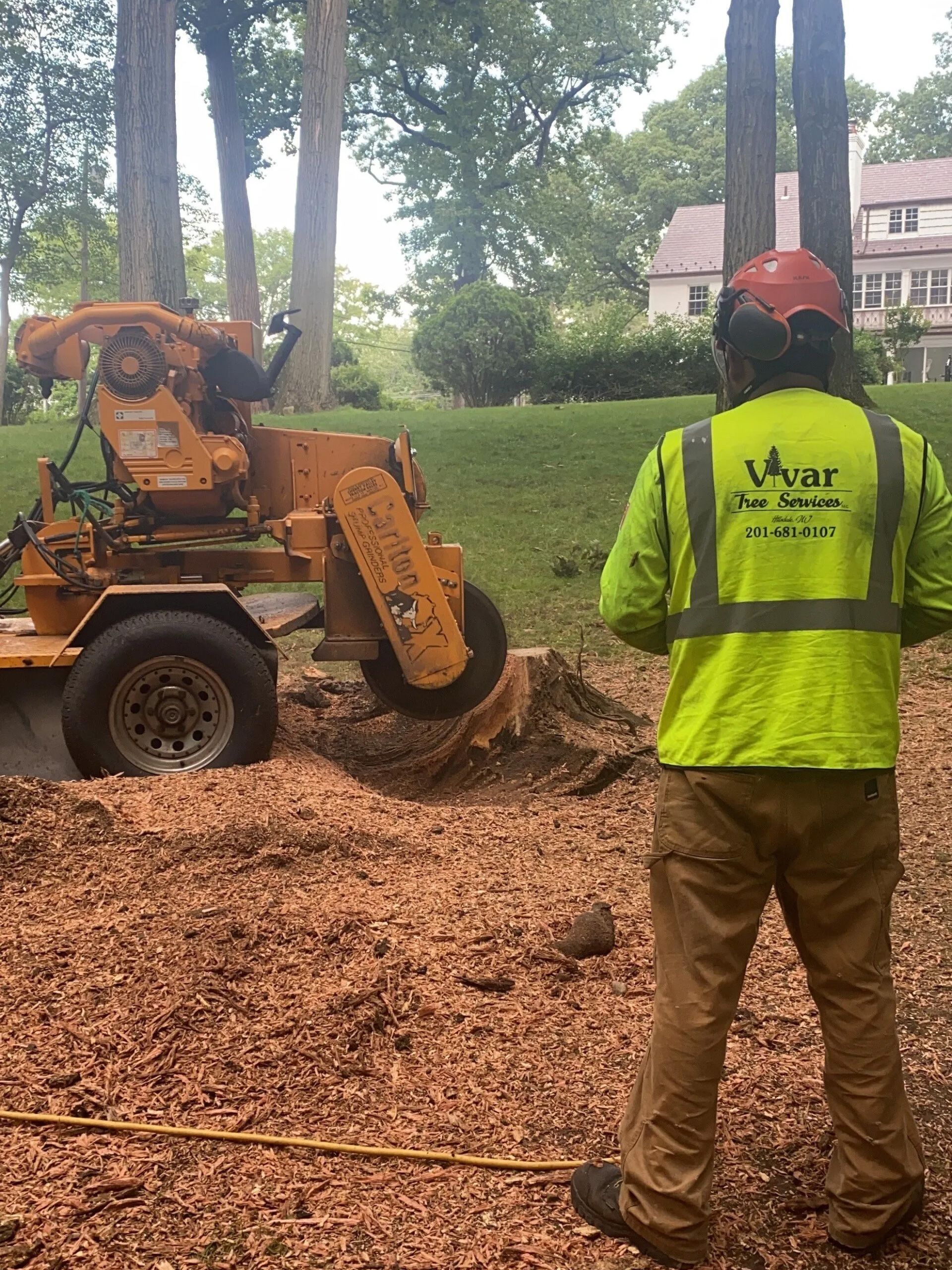 Man in safety gear operating stump grinder in yard.