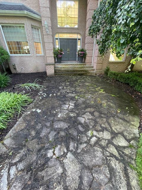 Stone walkway leading to a house entrance; walkway is dirty with plants and moss growing on it.
