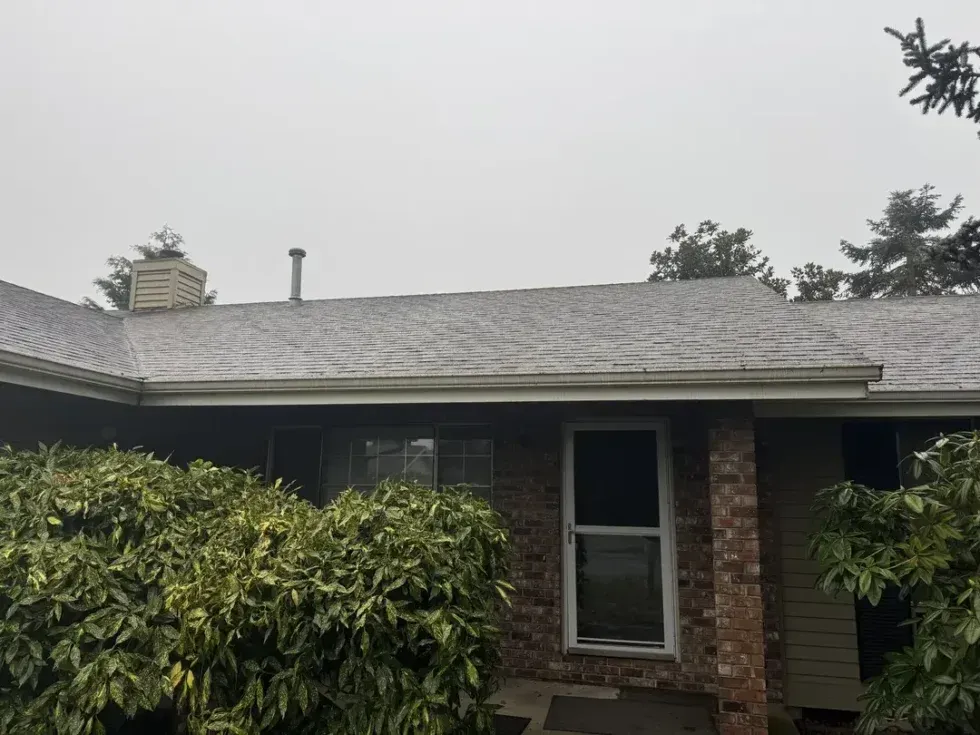 Single-story house with dark roof, brick facade, and overgrown shrubs in front