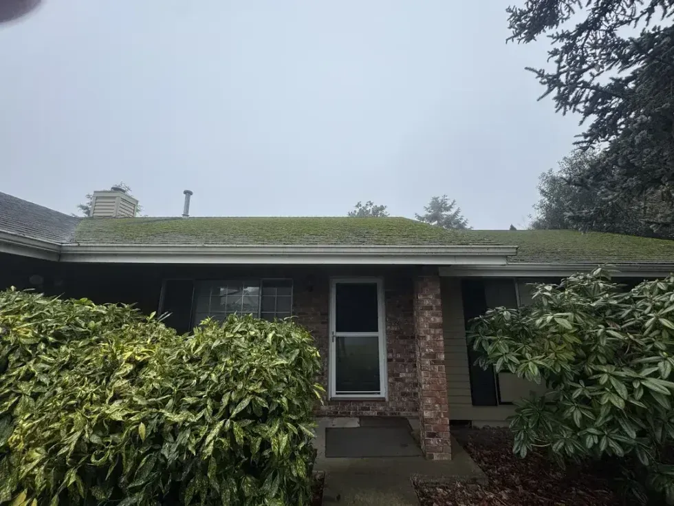 Single-story brick house with a screened porch, surrounded by dense green shrubs under an overcast sky