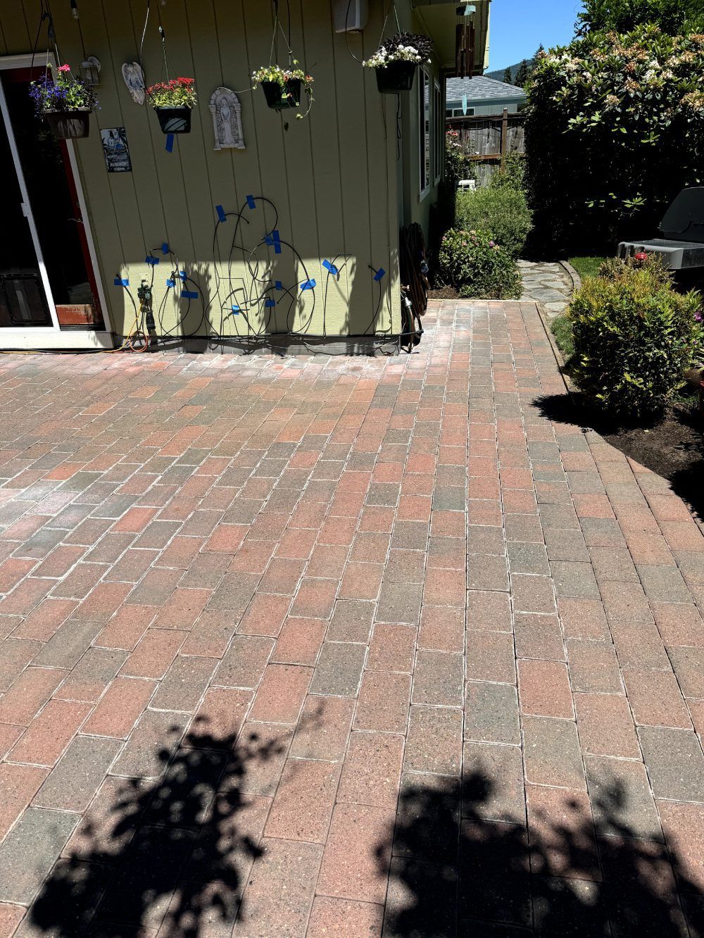Brick patio leading to a green shed with hanging flower baskets and shrubs in bright sunlight