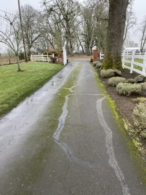 Wet country driveway lined with white fences and bare trees on a gray day
