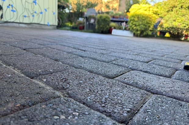 Low-angle view of a brick-paved driveway leading to a garden and garage in bright sunlight