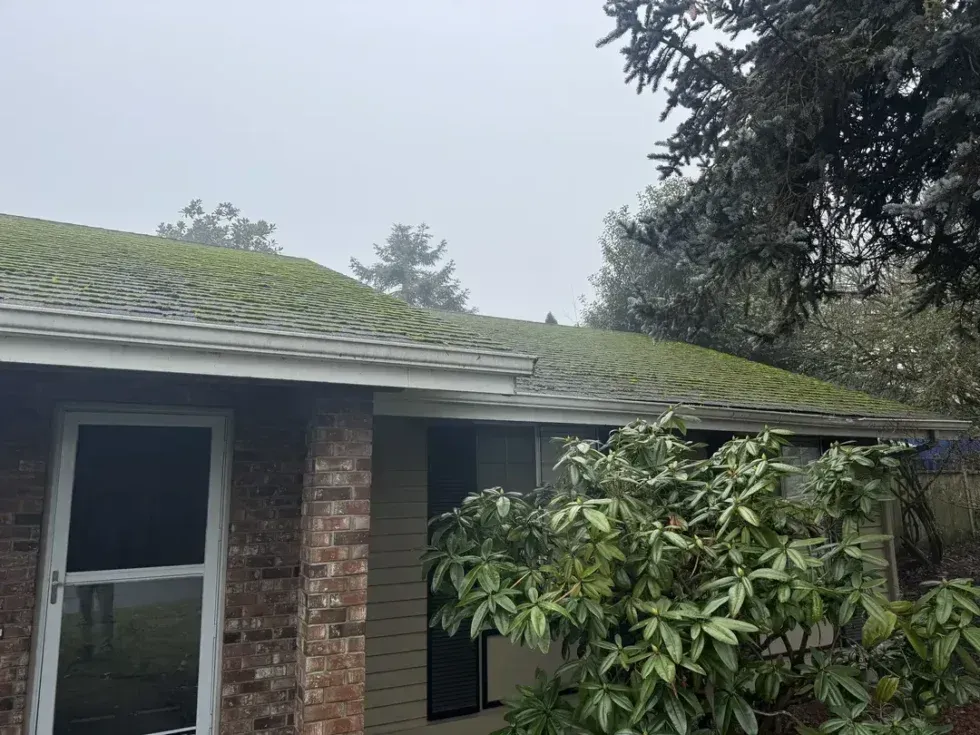 Brick house with a shingled roof and covered porch, partly obscured by leafy trees under a gray sky.