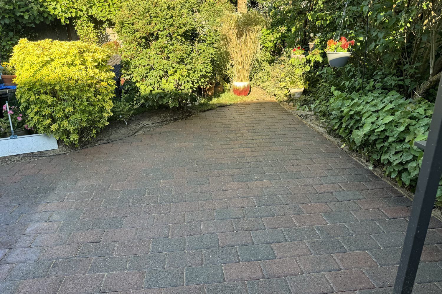 Brick driveway bordered by green shrubs and trees in a sunlit garden