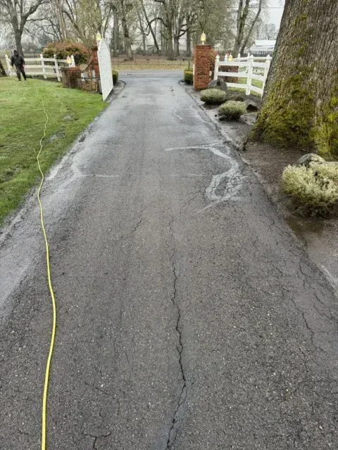Cracked asphalt driveway curving past a white fence and brick pillars in a wooded yard