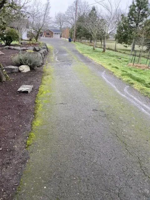 Wet paved garden path beside a grassy field and leafless trees on a gray day