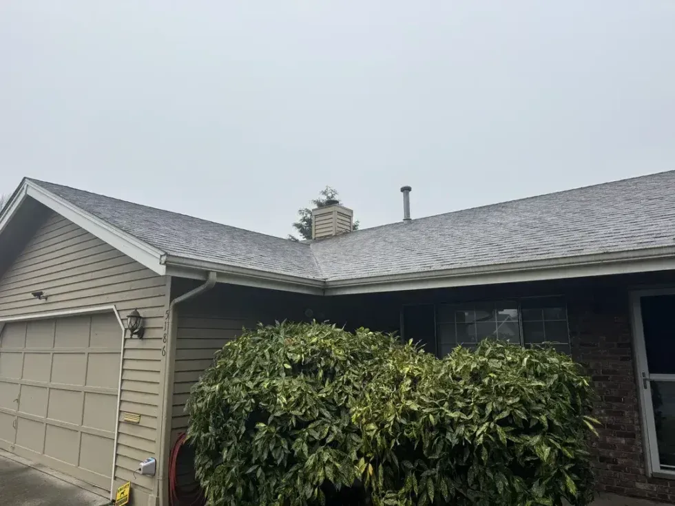 Single-story house with gray siding, attached garage, and overgrown shrub in front yard