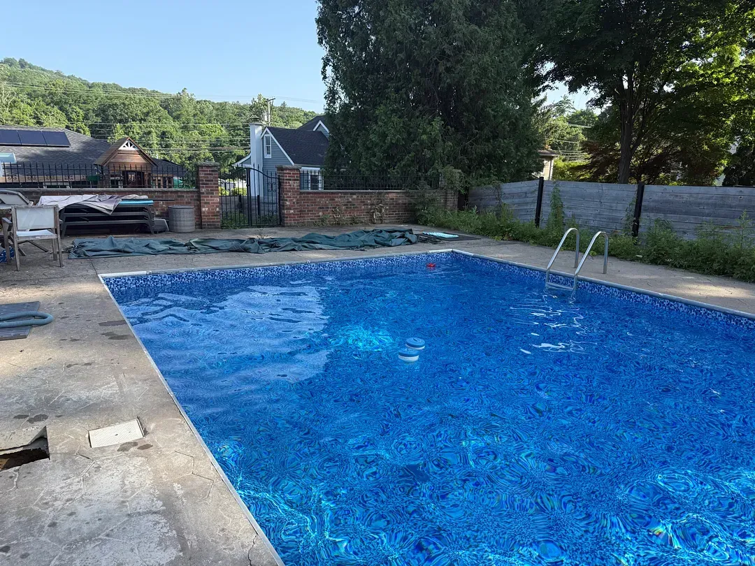 Backyard swimming pool with blue water, ladder, and trees under a clear sky