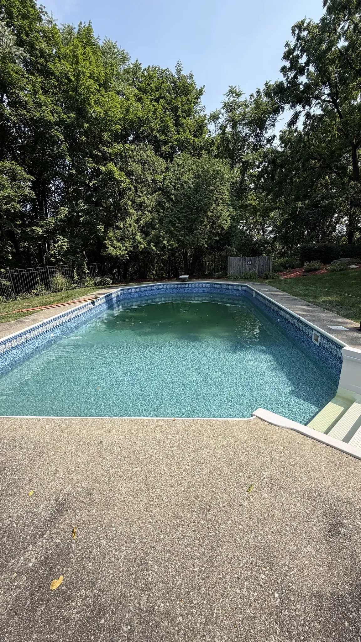 Rectangular backyard swimming pool surrounded by a stone patio and trees in bright daylight