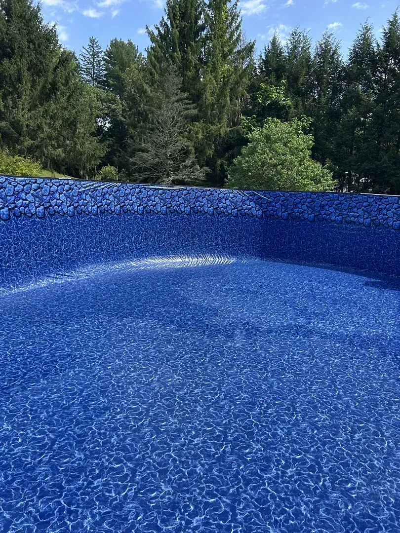 Blue empty swimming pool with trees in the background